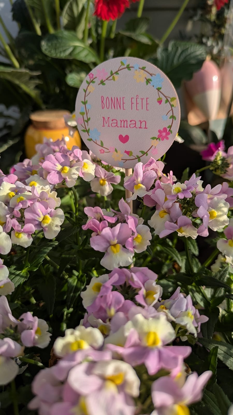 Jardinière de némésias rose et crème avec une étiquette « Bonne fête Maman »