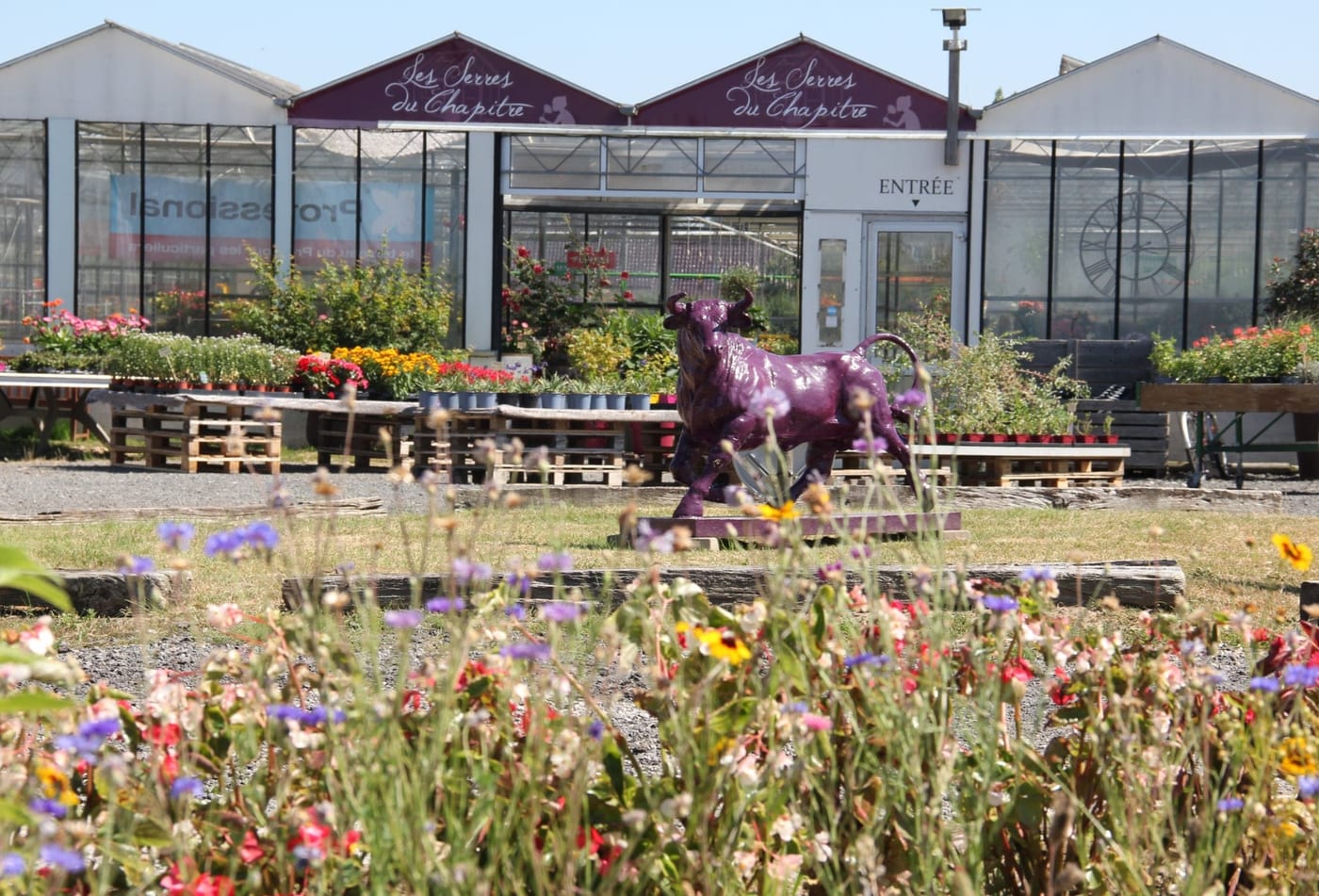 L’entrée des Serres du Chapitre, avec le taureau violet et les massifs fleuris